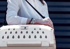 TRAVEL CHIC CARRIER TORTORA/WHITE