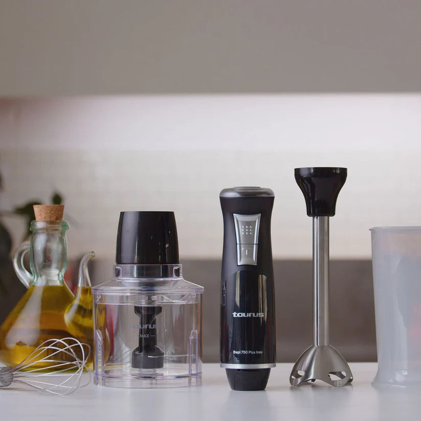 TAURUS HAND BLENDER INOX 750W WITH ACCESSORIES