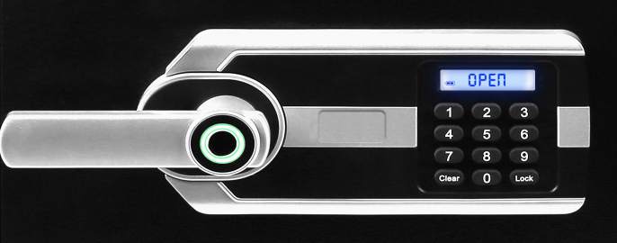 ExecutiveSafe Fireproof Biometric Electronic safe ES060
