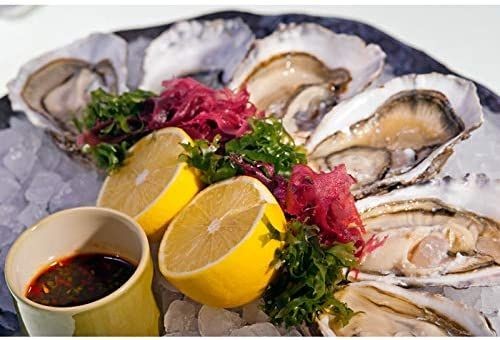 KitchenCraft Master Class Soft Grip Short Stainless Steel Oyster Knife MCSGOK