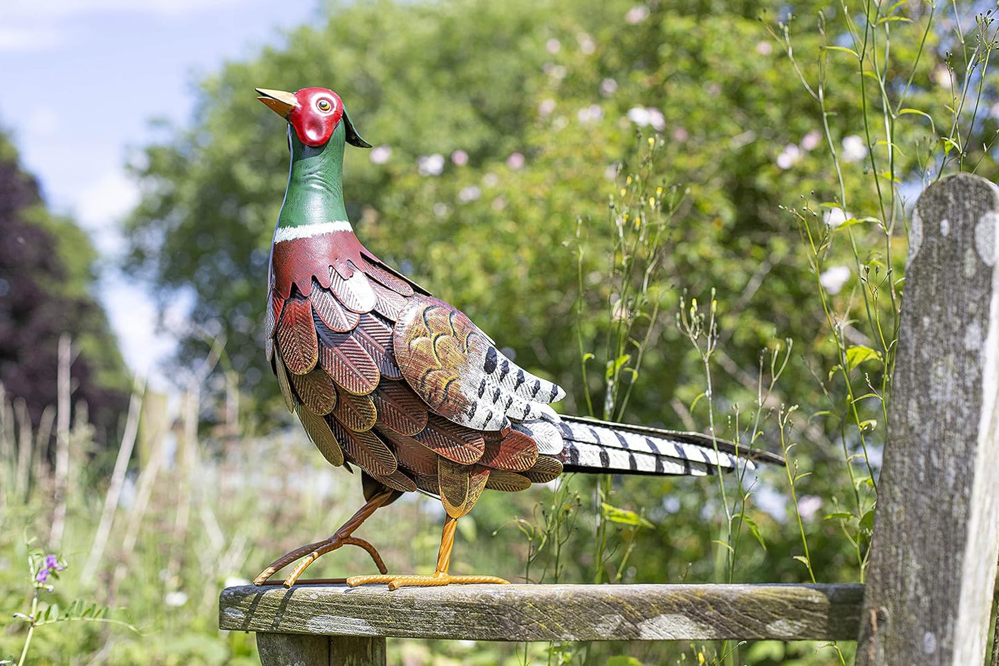 LA HACIENDA Fez Colorful Pheasant