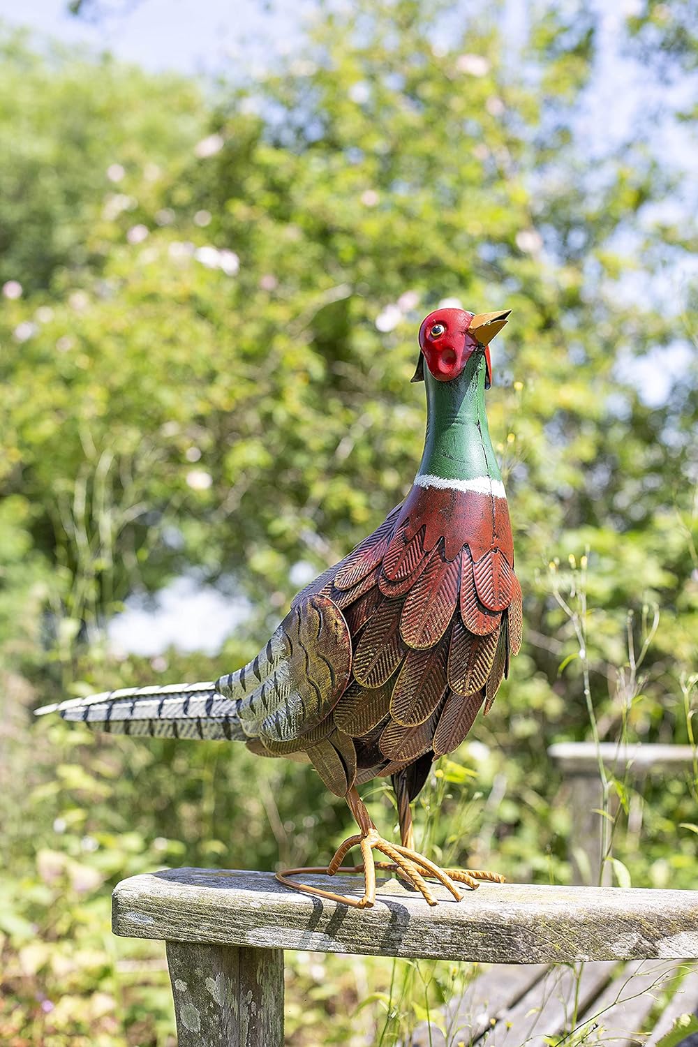 LA HACIENDA Fez Colorful Pheasant