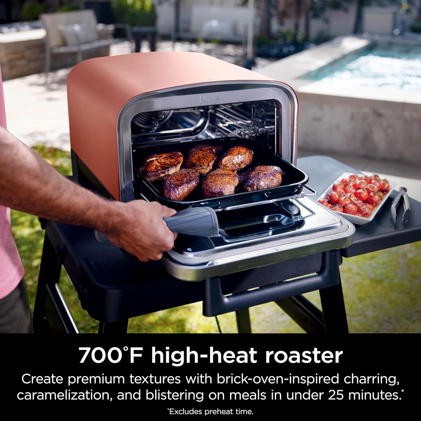 Ninja Woodfire 8-in-1 Electric Outdoor Pizza Oven