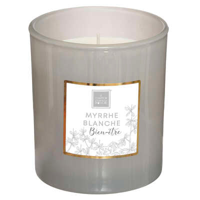 Le comptoir de la bougie Mael Exhibit Candle 190G 172760