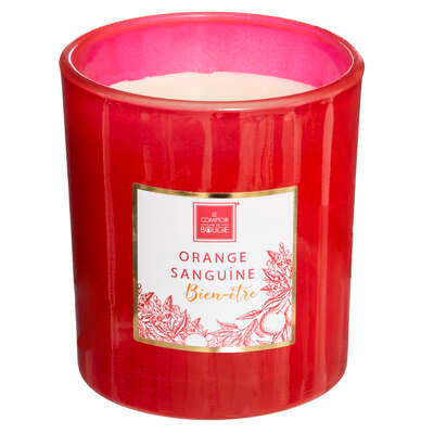 Le comptoir de la bougie Mael Exhibit Candle 190G 172760