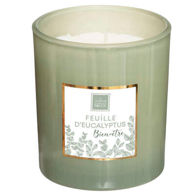 Le comptoir de la bougie Mael Exhibit Candle 190G 172760