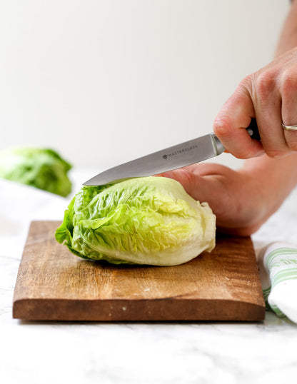 KitchenCraft MasterClass Edgekeeper Self-Sharpening 11.5cm (4.5") Utility Knife