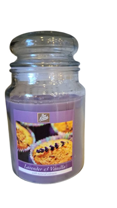 Citronella Jars Candles